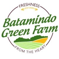 Lowongan Finance AR Batamindo Green Farm - Karawang